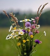 Joyce Ellen Fisch nee Lindberg  November 9 1945  February 24 2018 avis de deces  NecroCanada