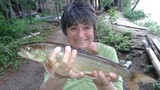 Mildred Millie Cross  (September 6 1955  March 2 2018) avis de deces  NecroCanada