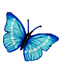 Rose Mary Marie Bohnet  January 3 1921  July 20 2019 (age 98) avis de deces  NecroCanada