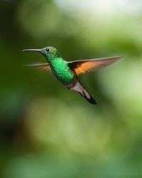 Terry Michael Bosy avis de deces  NecroCanada