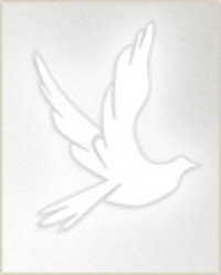 Dianne Wall  1945  2019 avis de deces  NecroCanada