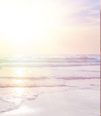 Elaine Shirley Barton  2019 avis de deces  NecroCanada