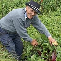 Edgar Stagg  2024 avis de deces  NecroCanada