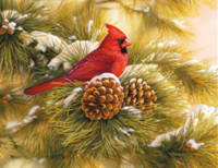 9th Annual Cardinal Tree