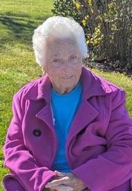 Norma D
