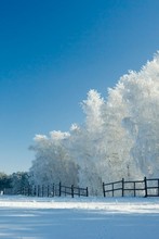 BLOMMAERT Joe of Hensall  February 21 2018 avis de deces  NecroCanada