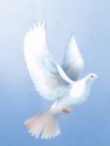 JOCELINE CLOUITER – SHERBROOKE –  2018 avis de deces  NecroCanada