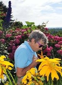 Janetta  Netta Callander Buchanan  July 17 1925  May 06 2018 avis de deces  NecroCanada