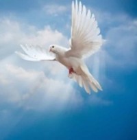 GILBERT Lucie  1928  2019 avis de deces  NecroCanada