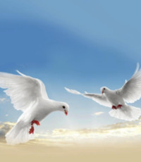 Derek Cyr  2019 avis de deces  NecroCanada