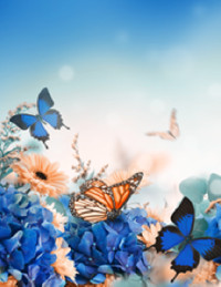 Fajer Al Ahmad avis de deces  NecroCanada