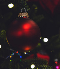 Julia Dianne Zinck Wile  Friday December 11th 2020 avis de deces  NecroCanada