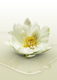 VICTORIO ANCHANTE TEODORO  1930  2021 avis de deces  NecroCanada