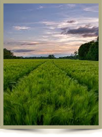 Charles Thomas Tighe  2021 avis de deces  NecroCanada