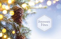 Ceremonie de l'arbre de Noel 2021  12 décembre 2021 avis de deces  NecroCanada