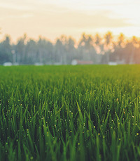 Betty Margaret Freeborn  Sunday February 6th 2022 avis de deces  NecroCanada