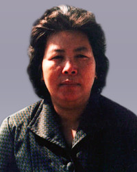 Mei Lin