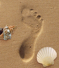 Maria van Roosendaal  Tuesday June 21st 2022 avis de deces  NecroCanada