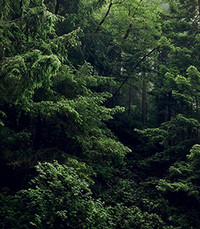 Glen Lyon  Monday August 22nd 2022 avis de deces  NecroCanada