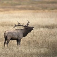 Lorne John Pukas  2022 avis de deces  NecroCanada