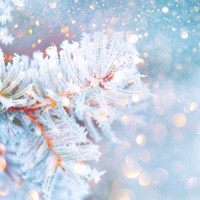 LOSETH Ayla Grace  December 16 2012 — November 29 2022 avis de deces  death notice NecroCanada