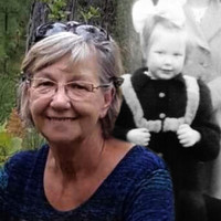 VAN BRUNT Hilbrandina “Brandi  April 29 1948 — July 20 2023 avis de deces  NecroCanada