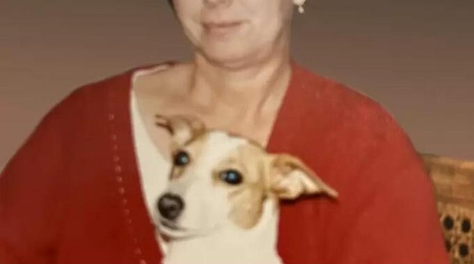 Anne Triggs née Kelly  December 27 1946  November 26 2024 avis de deces  NecroCanada