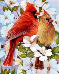 Sharon Diane Bostwick  2025 avis de deces  NecroCanada